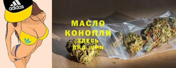 МДПВ Пересвет