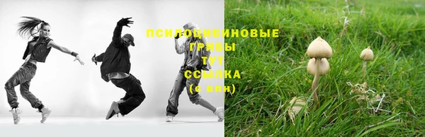 МДПВ Пересвет