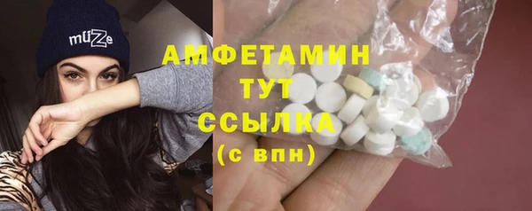 МДПВ Пересвет