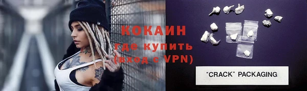 МДПВ Пересвет