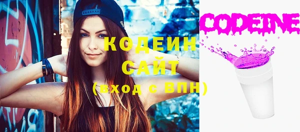 МДПВ Пересвет